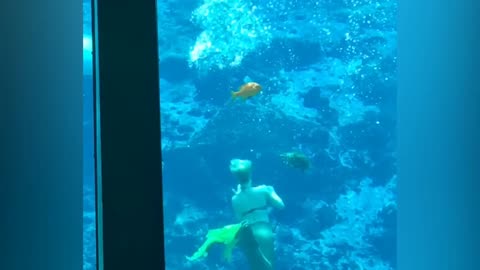 Funny Kids at the Aquarium _ Girl SPOOKED