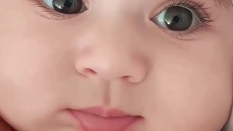 Short funny video