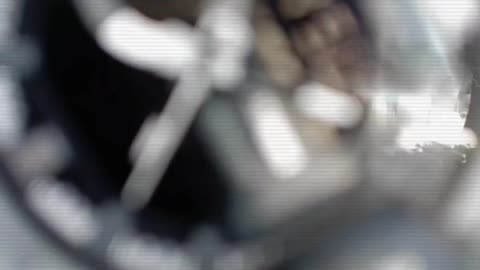 Life watch#short video#watch