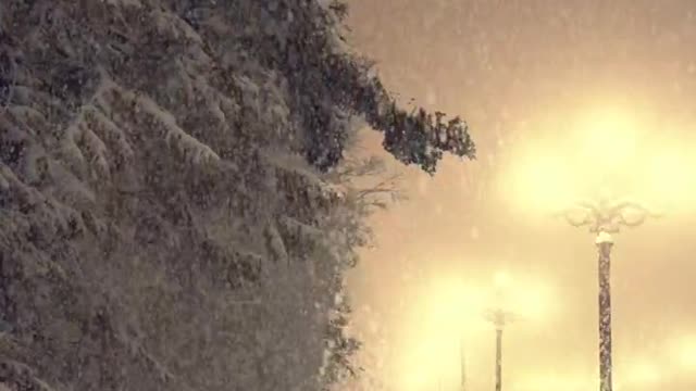 I often wonder what kind of people like to watch the snow