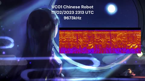 VC01 Chinese Robot 17/02/2023 2313 UTC 9673kHz