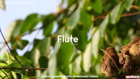 Relaxation Music - Flute - Stress Relief