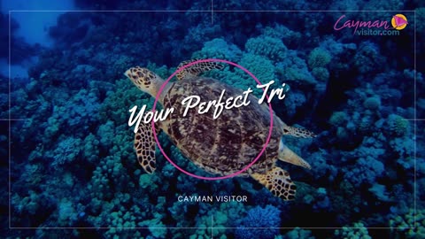 Things to Do in Grand Cayman | Visit Cayman