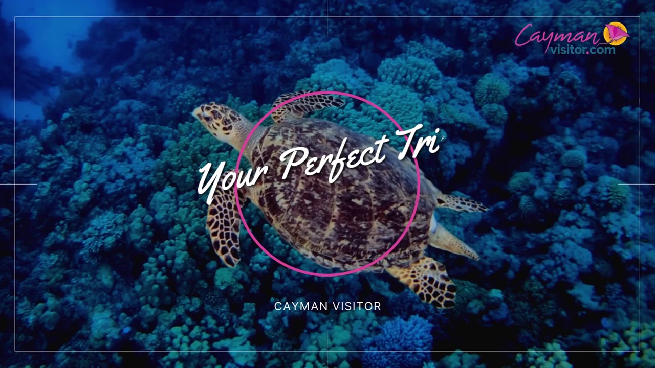 Things to Do in Grand Cayman | Visit Cayman
