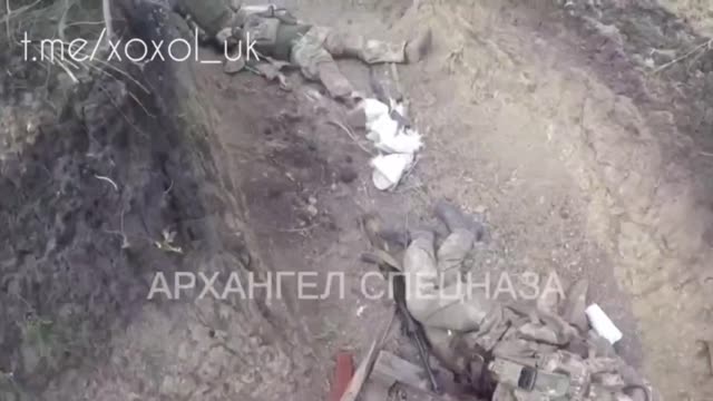 The Kiev regime's forces are all dead,