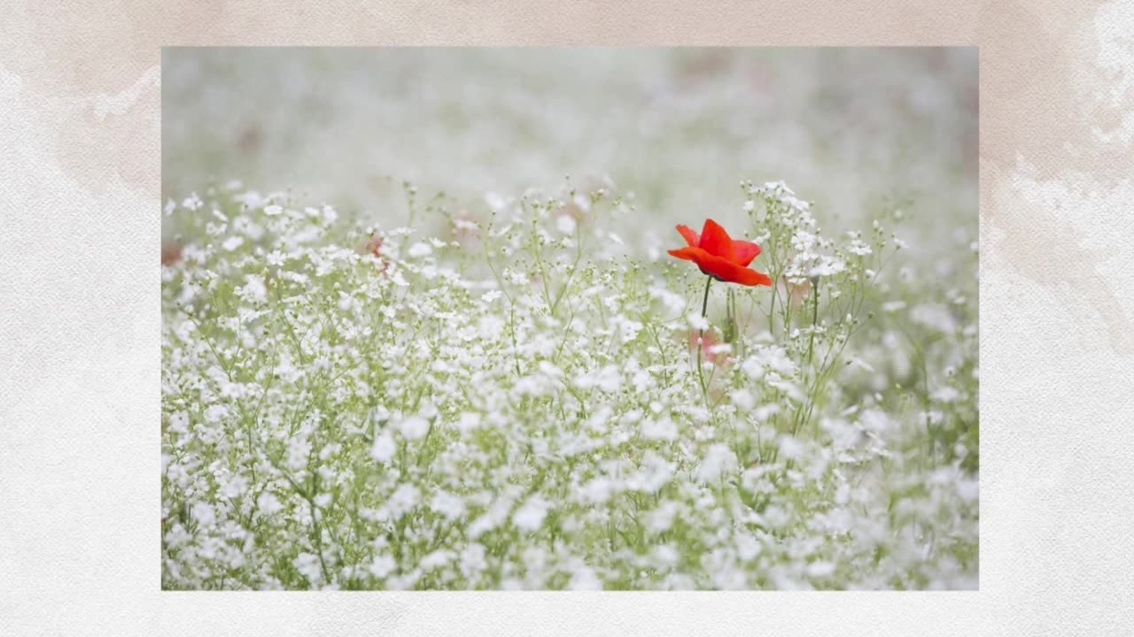 Growing Young (Rich Mullins)