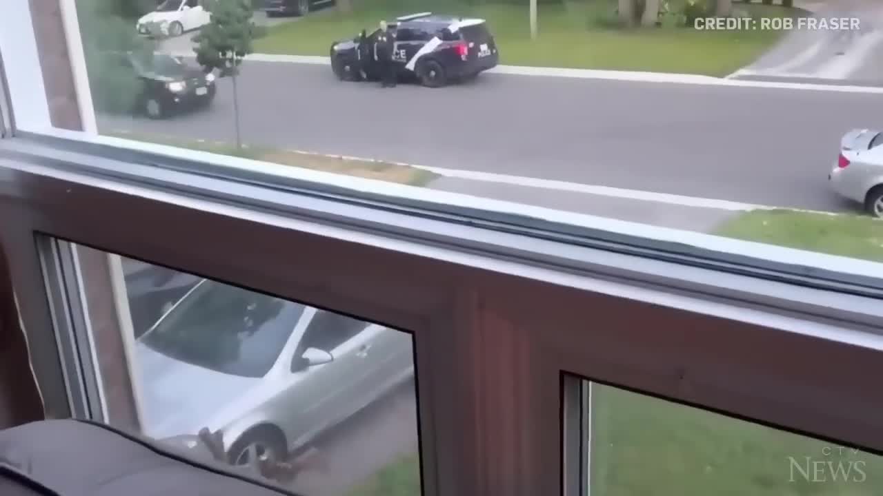 WATCH: Wild turkey faces off against Canadian police officer