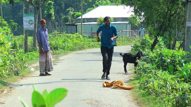 King Cobra Snake Prank 🐍 (Part 3) Fake Snake Prank Video on Public