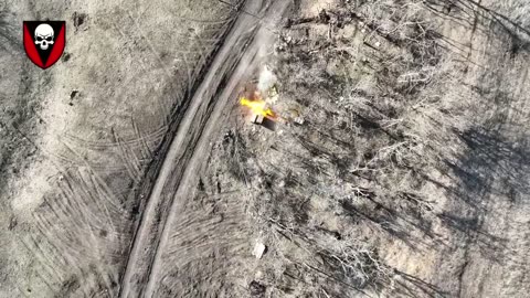 They are hiding. We find them.