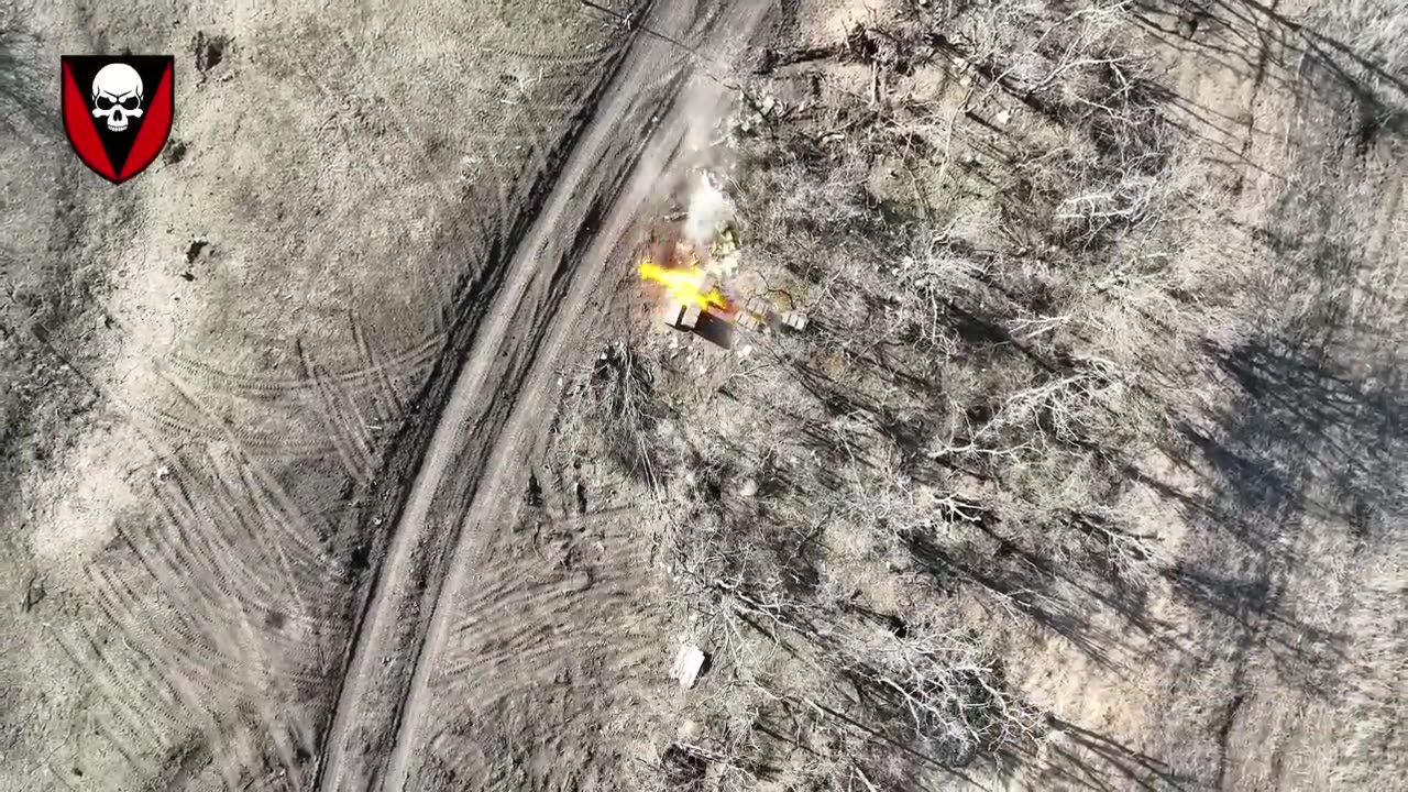 They are hiding. We find them.