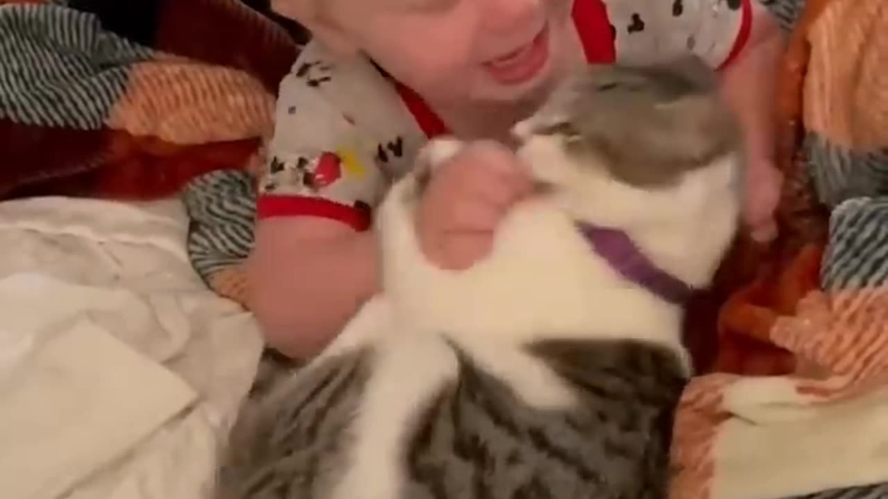 cat vs. baby