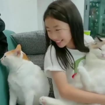 My Cat Is Jealous I Got A New Cat | Try Not Laugh | Funny Cat Videos