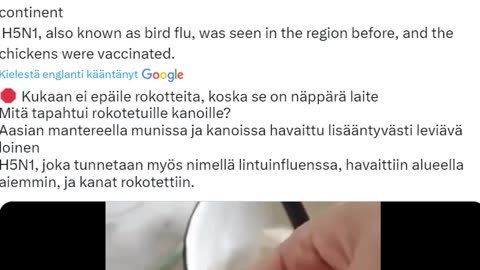 Mitä tapahtui rokotetuille kanoille?