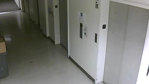 3904PSQB06FreightLobbyRear_2021-01-05_02h40min00s650ms.mp4
