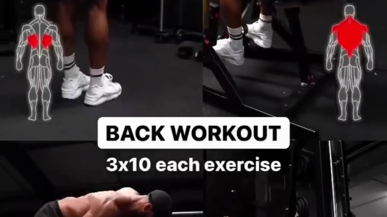 Complete Back Workout Exercises Tips - Health & Fitness Tips