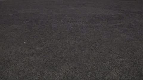 7231USCG00EastFrontHouseEgg_2021-01-05_22h26min06s883ms.mp4