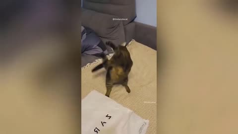 YOU CAN NOT HOLD YOUR LAUGH