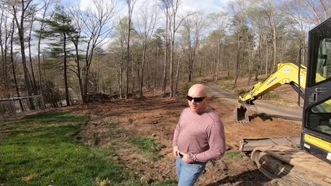 Clearing trees from small piece of land