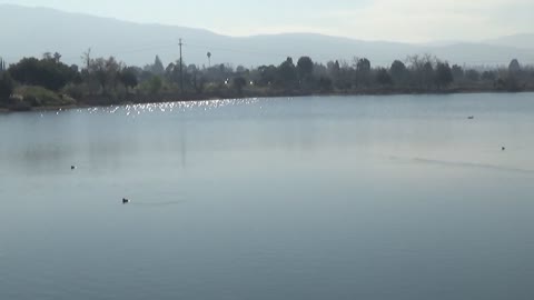 Campbell, CA — Los Gatos Creek County Park #1