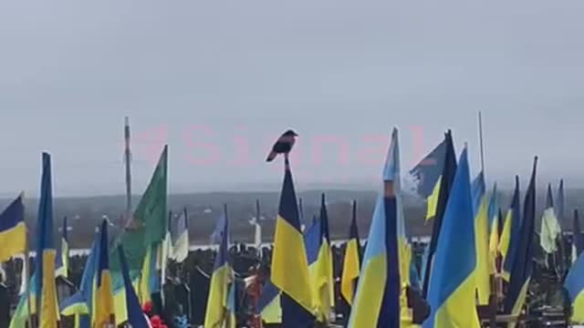 Ottobre 2022 - cimitero militare in ucraina