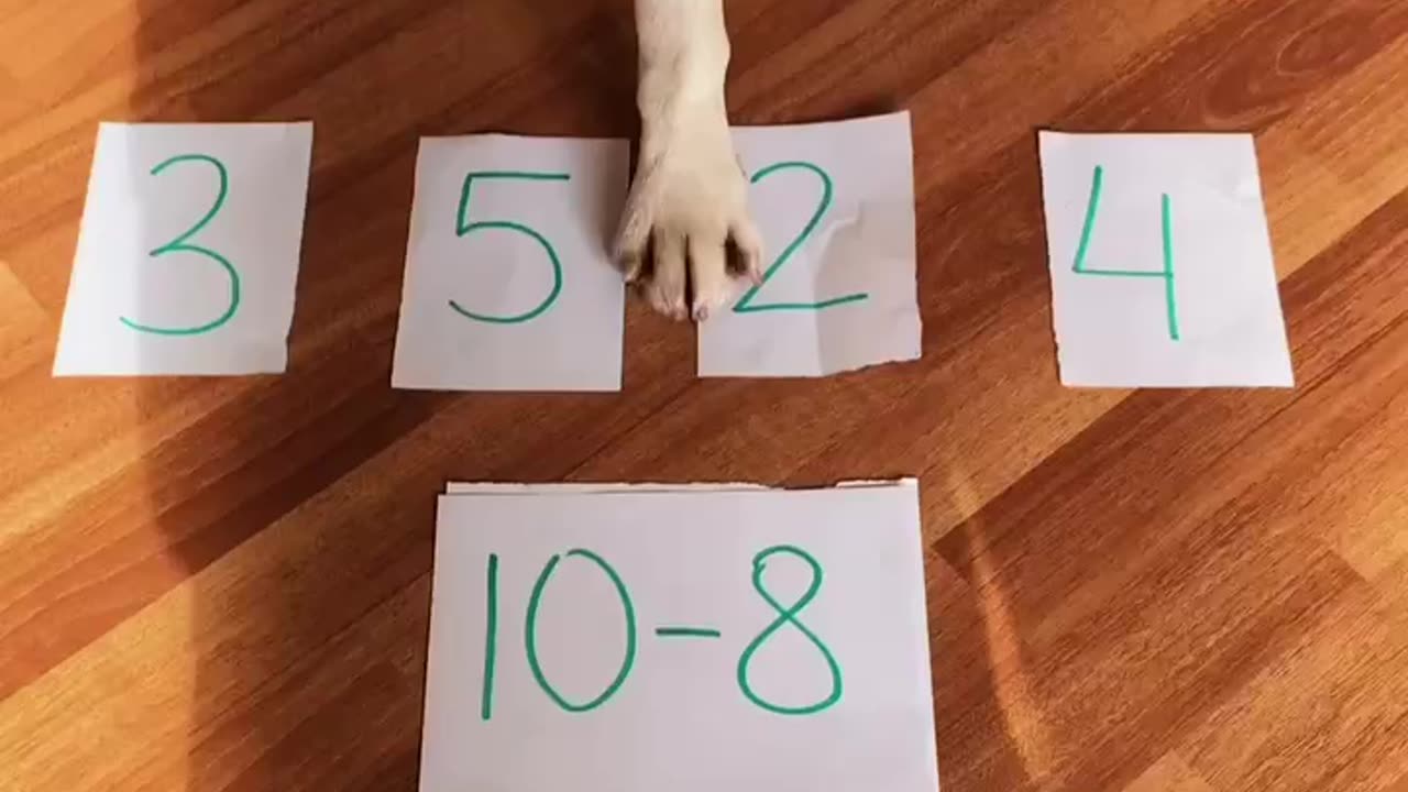 Brainy Beagle Solves Math Problems