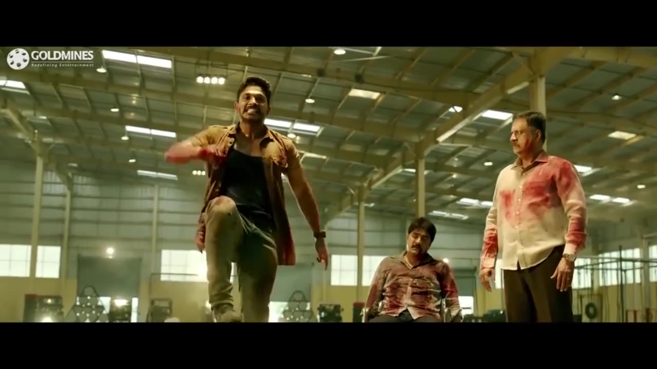 Allu arjun action video hindi