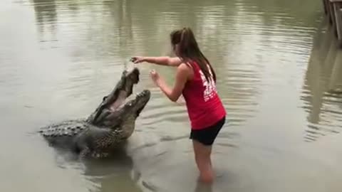 Going to gator country in Beaumont