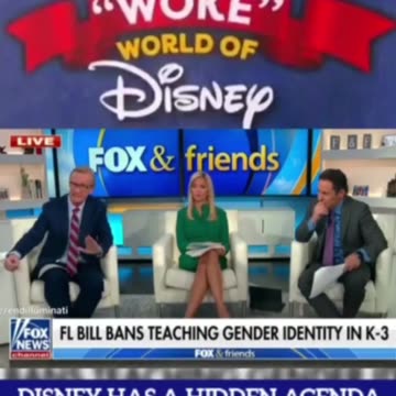 The "Woke" World of Disney