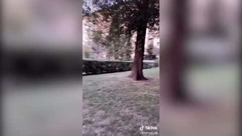 Best tiktok video 2022