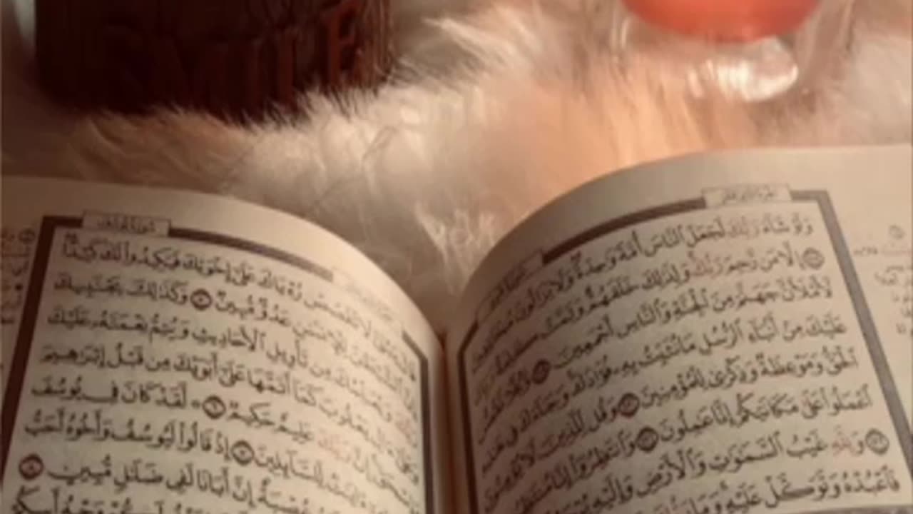 Quran majeed