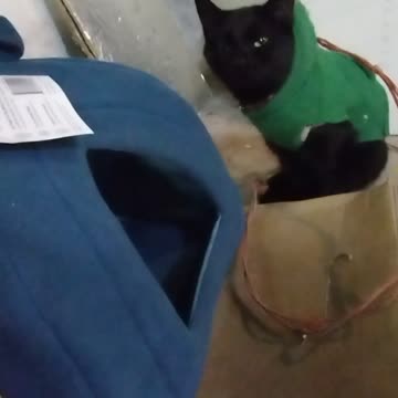 Minor complaining about the weather