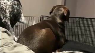 Don't start nothin' won't be nothin'