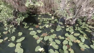 EVERGLADES NATIONAL PARK