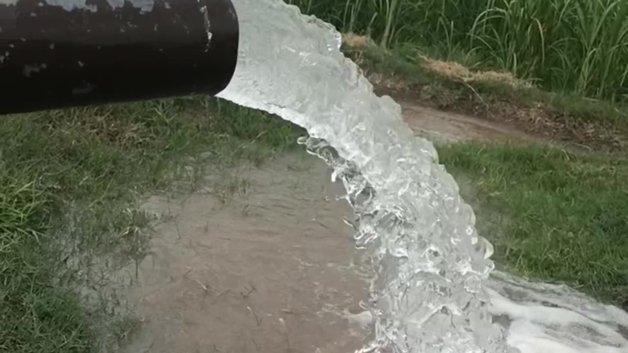 VILLAGE LIFE | Tubewell With Original Sound | First Video