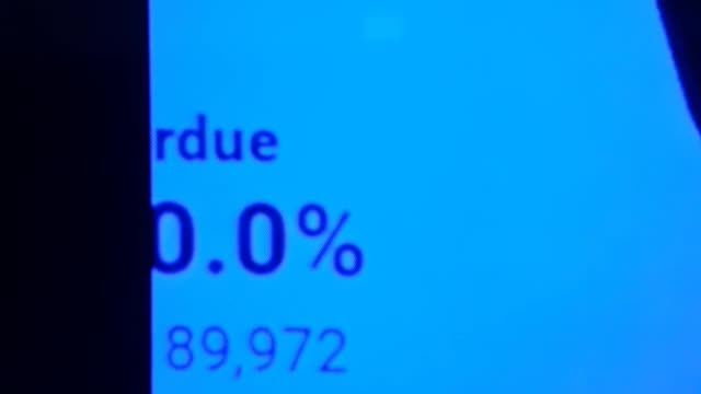 INTERNATIONAL WIDE ELECTION FRAUD VOTING MACHINE CRIME, GEORGIA RUNOFF SHAM ELECTION CRIME 296