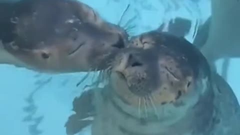 kisses with eyes closed