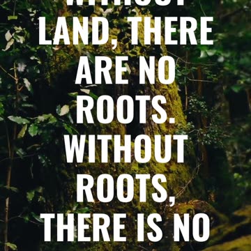 #YourInterestHub #mrrazorbaker #haritage #life #soverignty #thinkingabout #futere