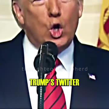 TRUMP Is Coming Back To Twitter