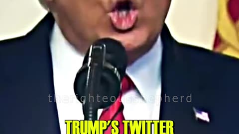 TRUMP Is Coming Back To Twitter