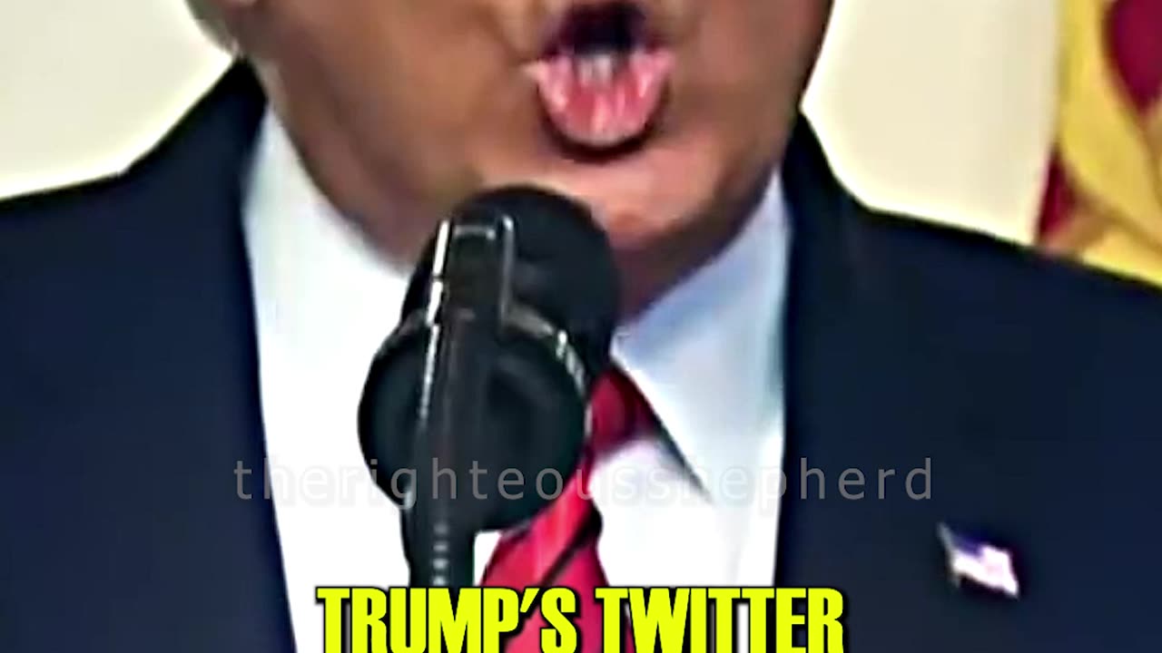 TRUMP Is Coming Back To Twitter