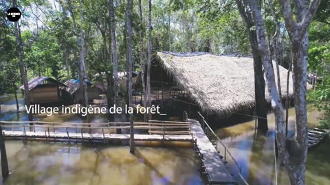 Regardez avant qu'ils ne suppriment ceci!