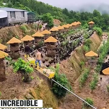 Chicken farm that comes with a feeding train!.hd