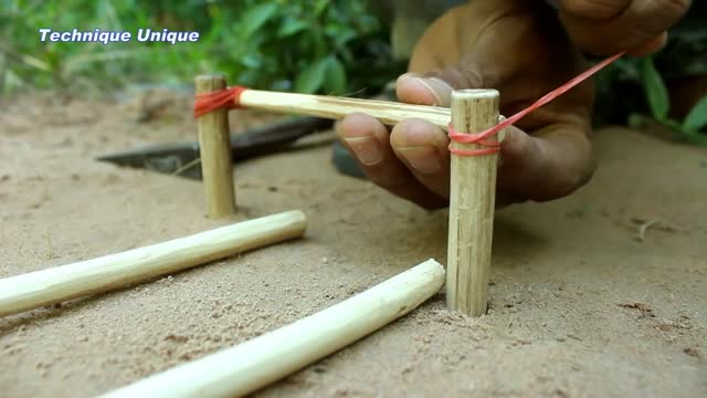 Creative Unique Bird Trap Using Small Plastic Ball Rolling Parrot Trap in Hole