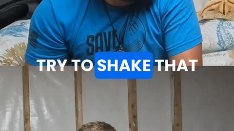 Tree Shaking Trial!