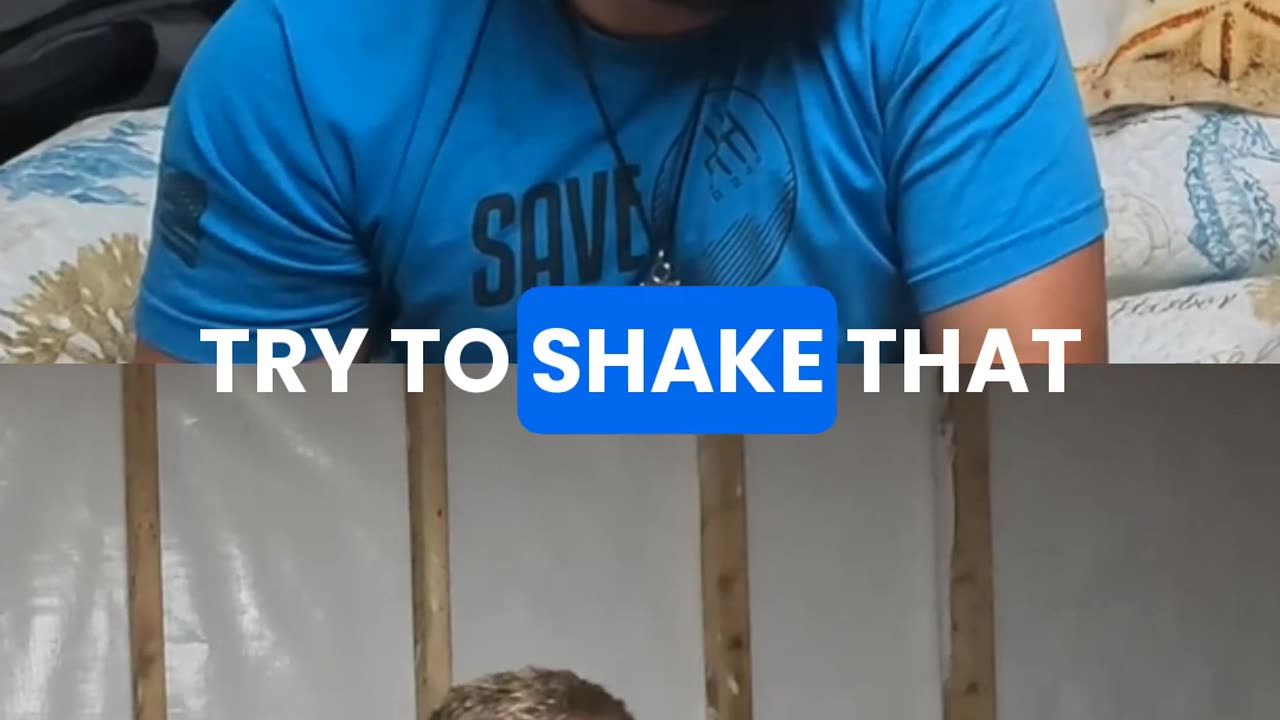 Tree Shaking Trial!