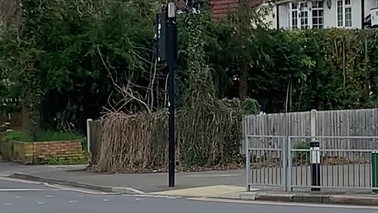 Matt...