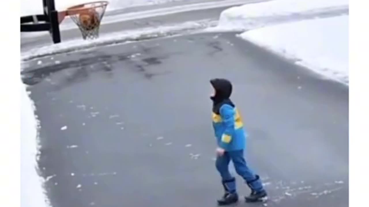 Funny video