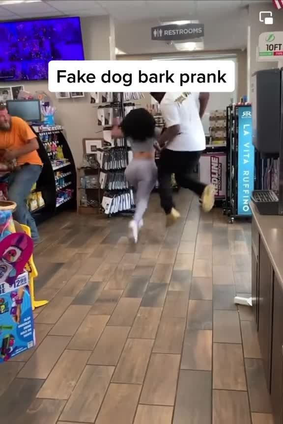 fake dog