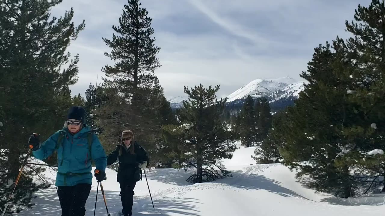 xcountry ski fun