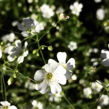 Investing in Index Funds A Passive Approach to Wealth Creation